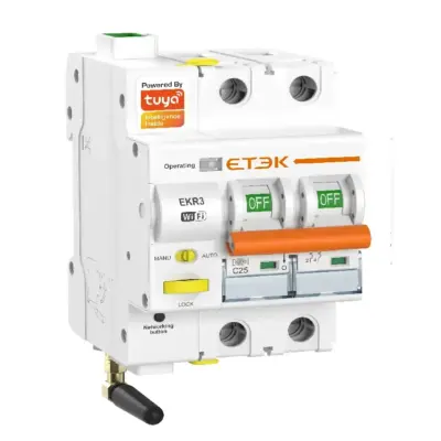 EKR3 Tuya Wifi Smart MCB