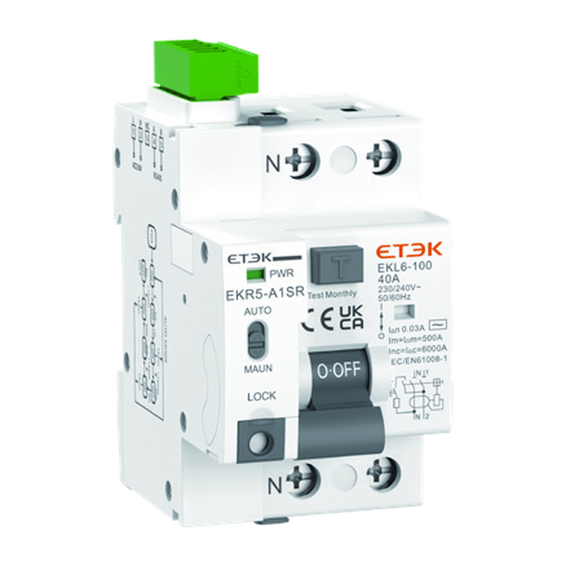 EKR5 matching RCCB EKL6-100 product appearance white background