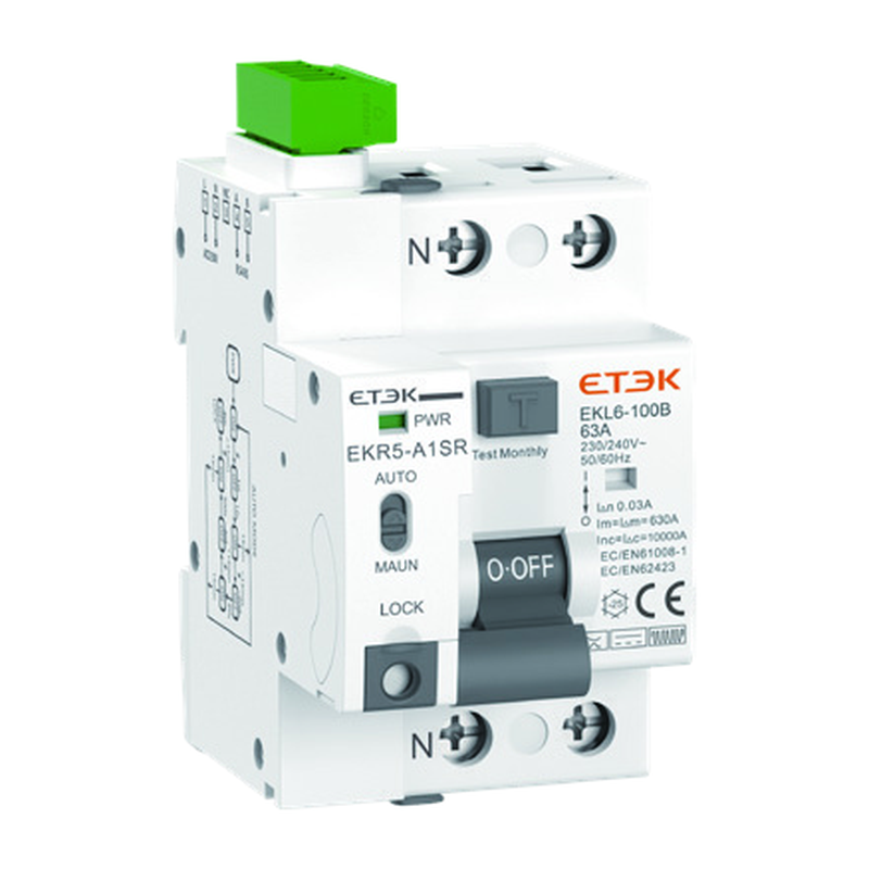 EKR5 matching RCCB EKL6-100B product appearance white background